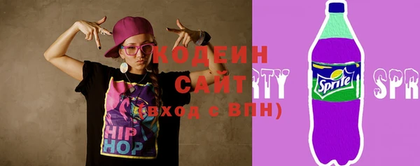 тгк Пересвет